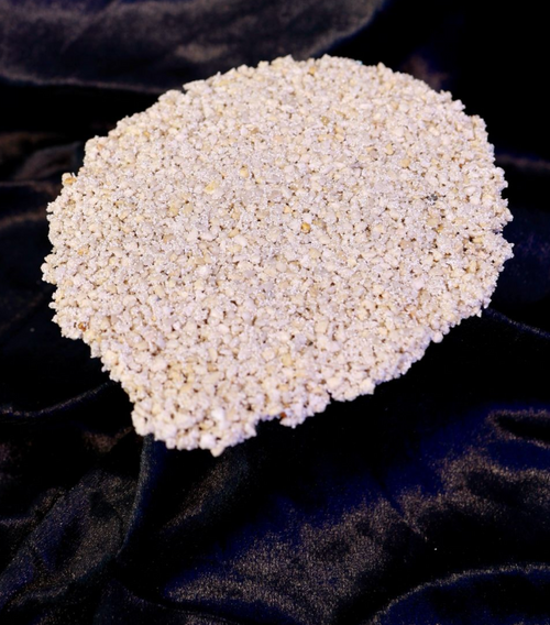 10x Zoa Chalice Ablegerplatte grob